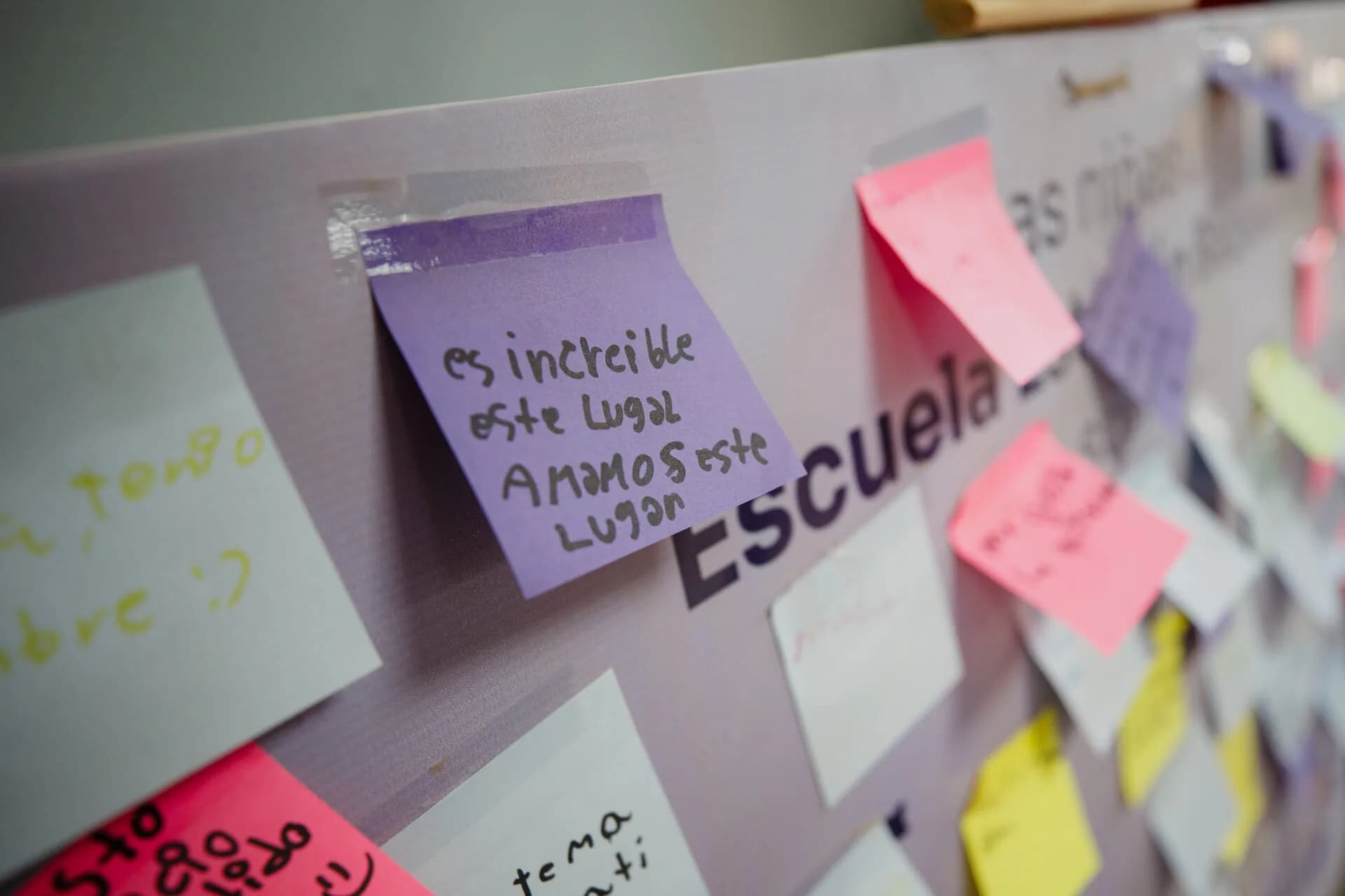Aprendizaje a lo largo de la vida